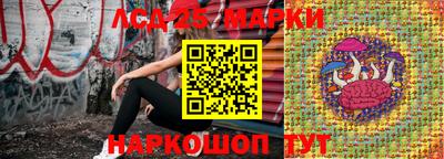 винт Ирбит