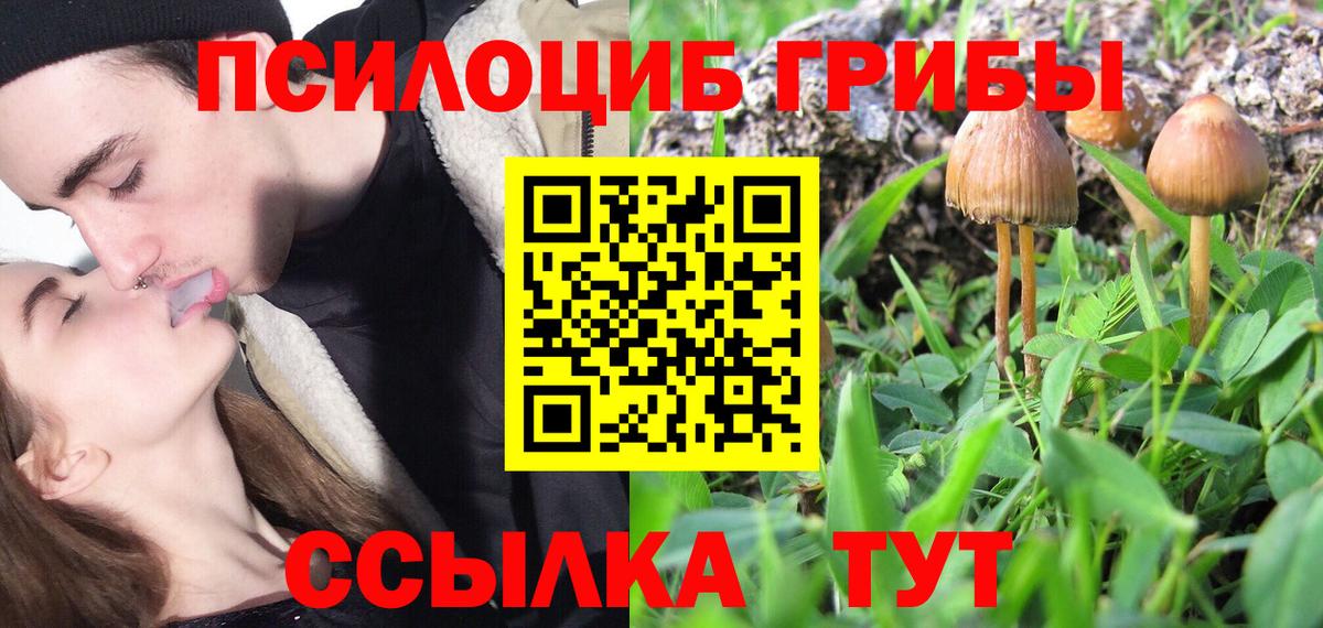 ЭКСТАЗИ Курчатов