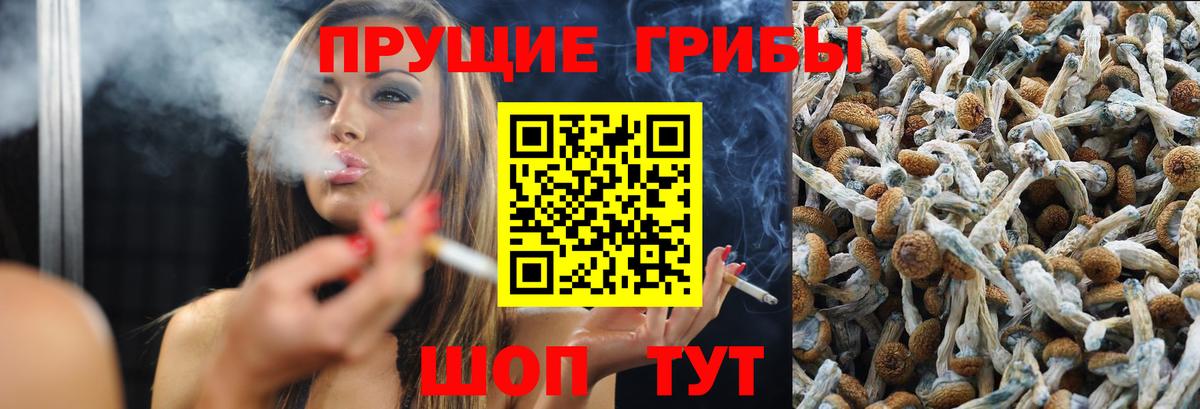 Курчатов  даркнет сайт  Вход с VPN  Галлюциногенные грибы ЛСД 